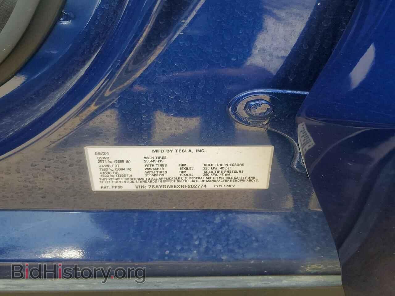 2024 TESLA MODEL Y - VIN: 7SAYGAEEXRF202774 - Photo 13