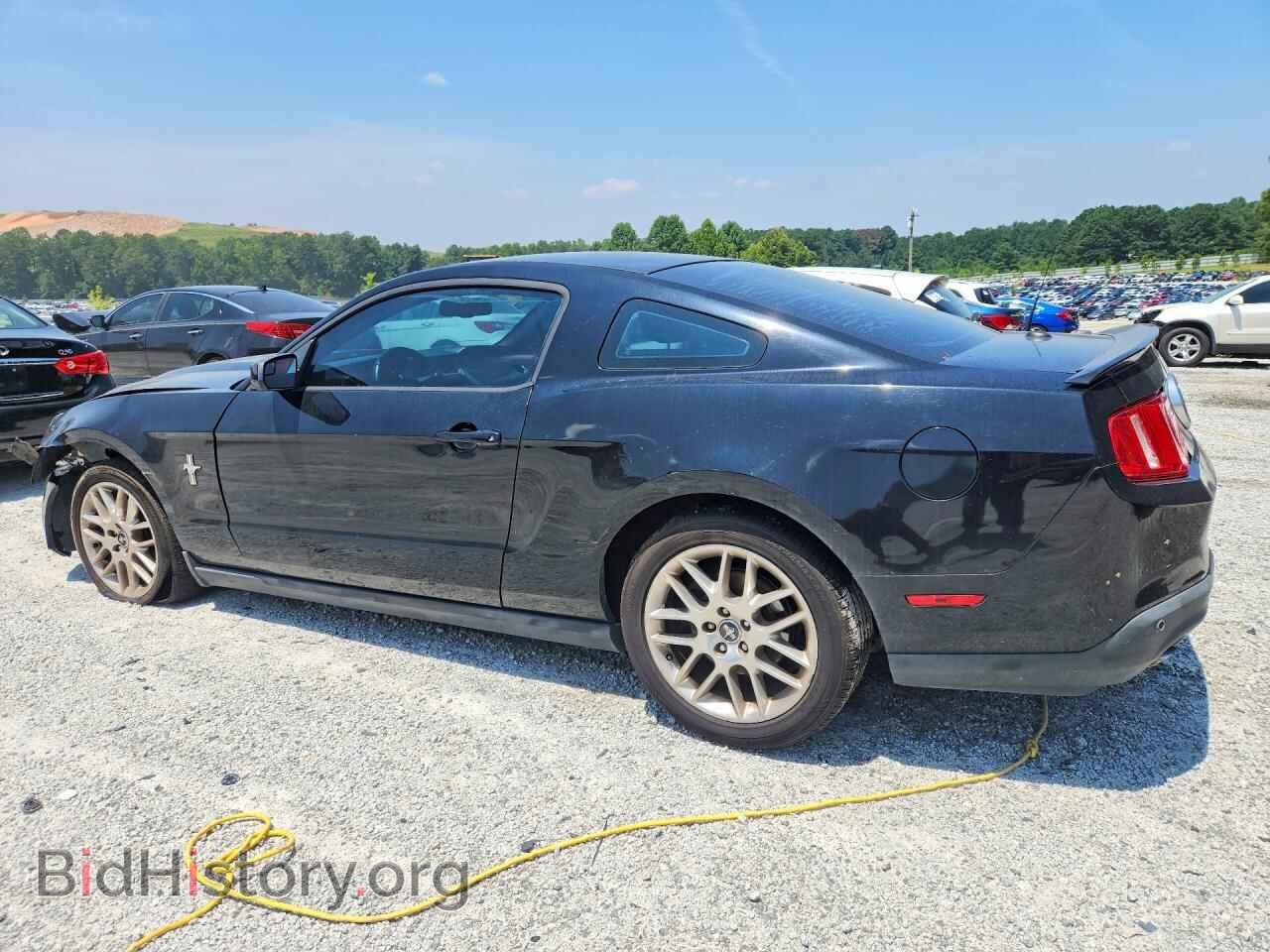 2012 FORD MUSTANG - VIN: 1ZVBP8AM9C5220522 - Фото 2