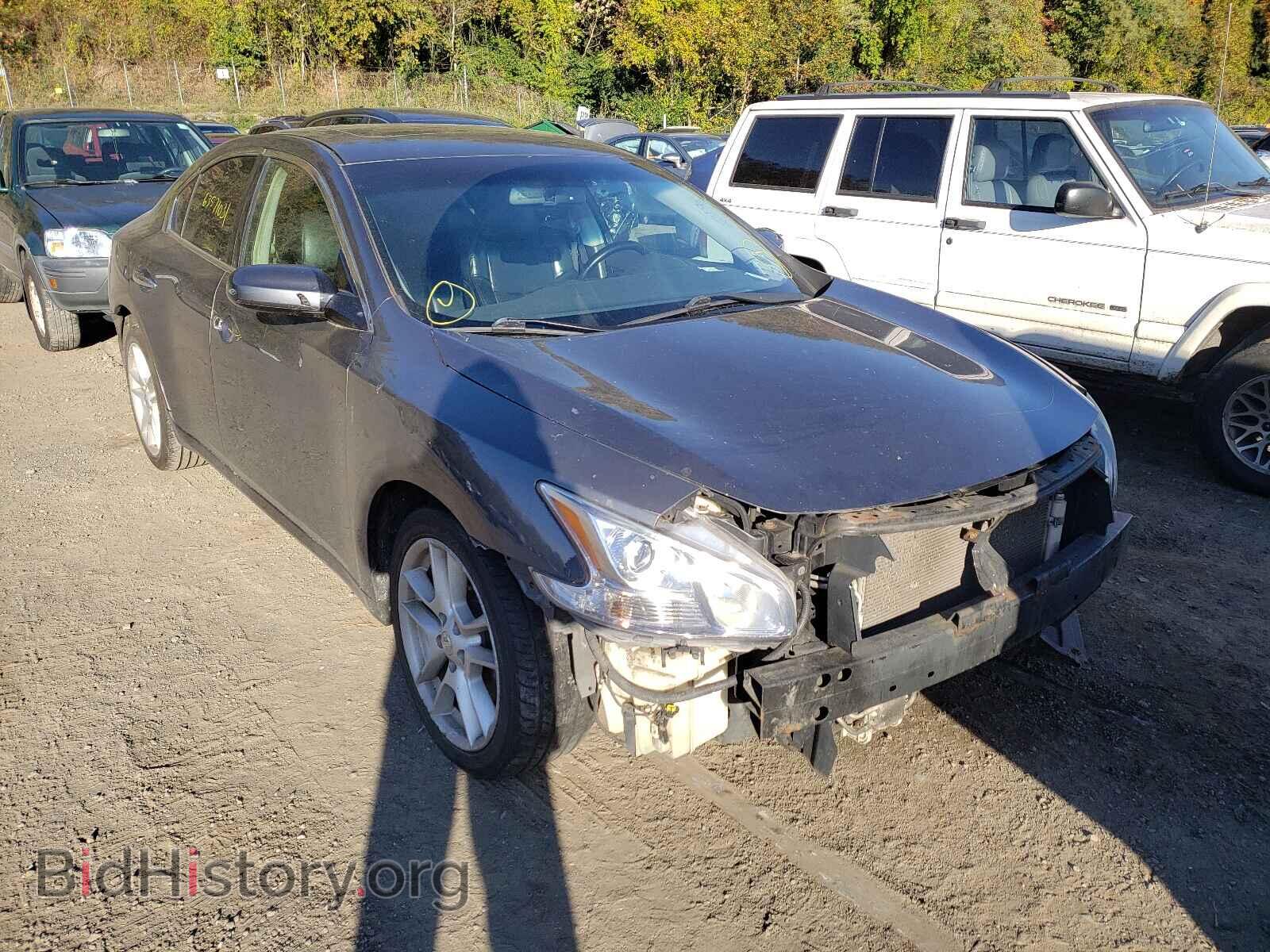 Фотография 1N4AA51E89C835161 - NISSAN MAXIMA 2009