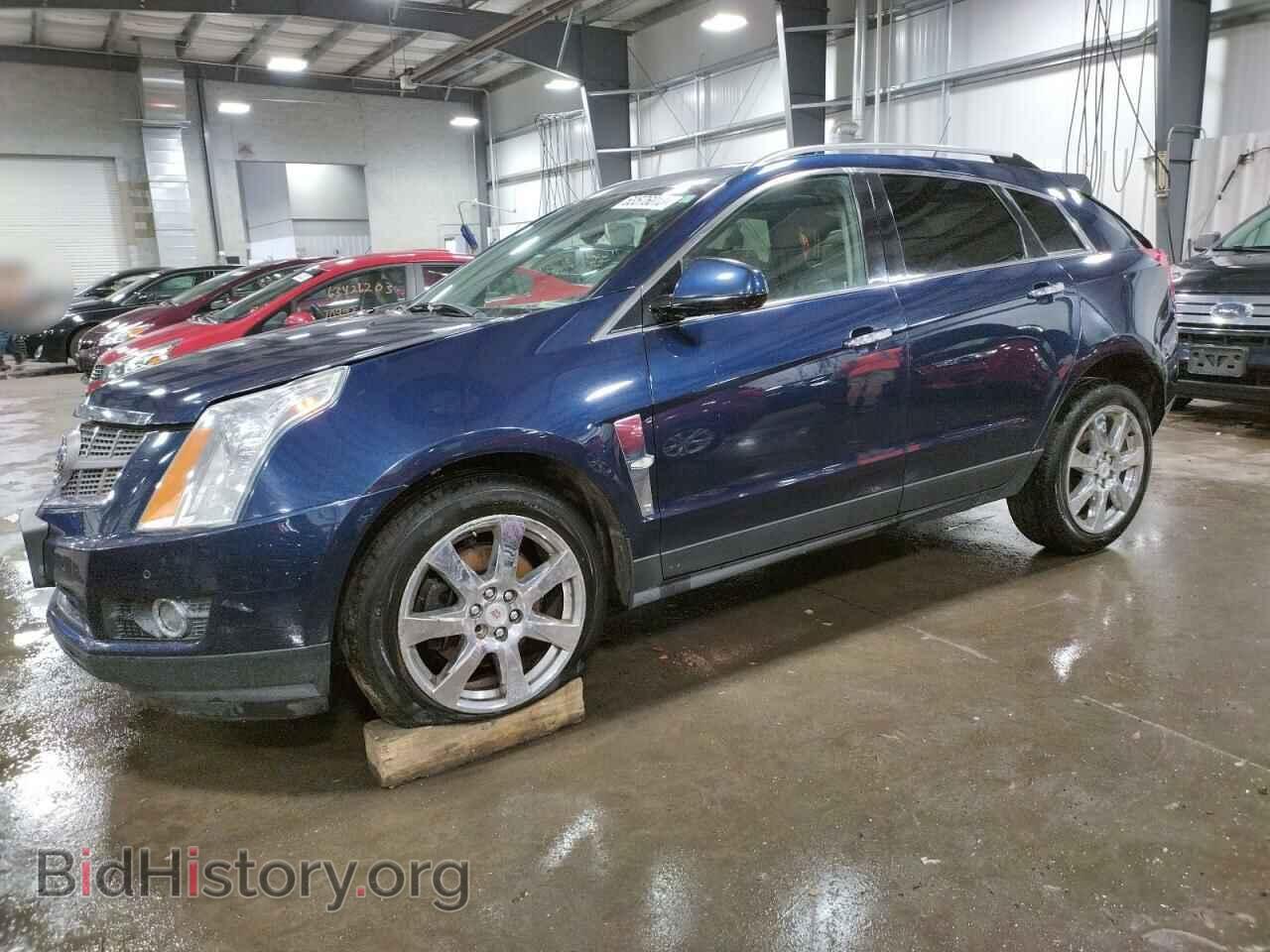 Photo 3GYFNEEY4AS638151 - CADILLAC SRX 2010