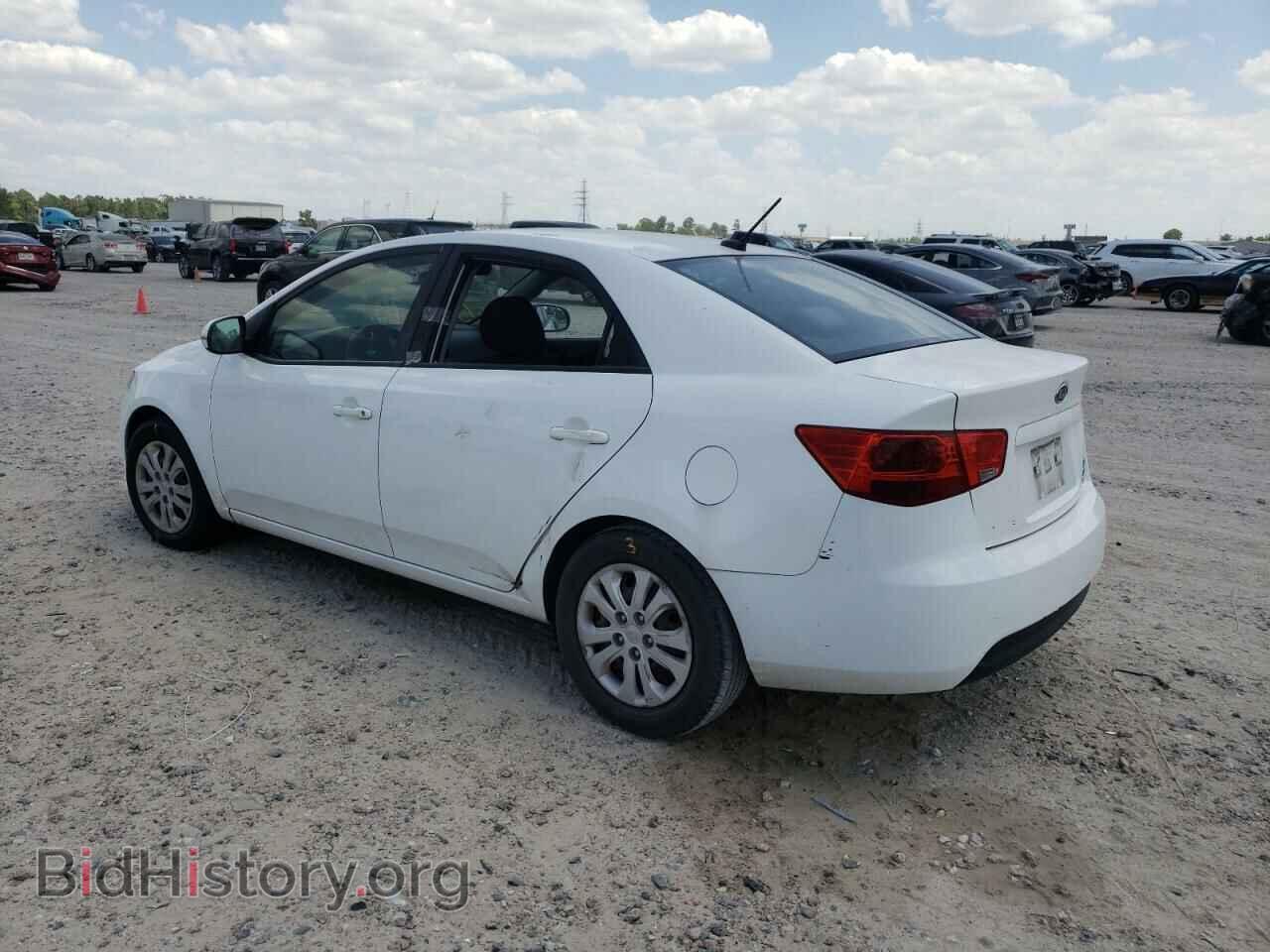 2011 KIA FORTE - VIN: KNAFU4A29B5887798 - Фото 2