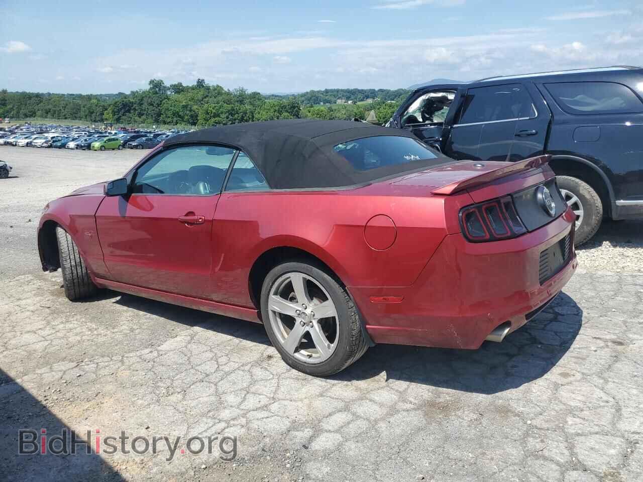 2014 FORD MUSTANG - VIN: 1ZVBP8FF7E5202629 - Фото 2