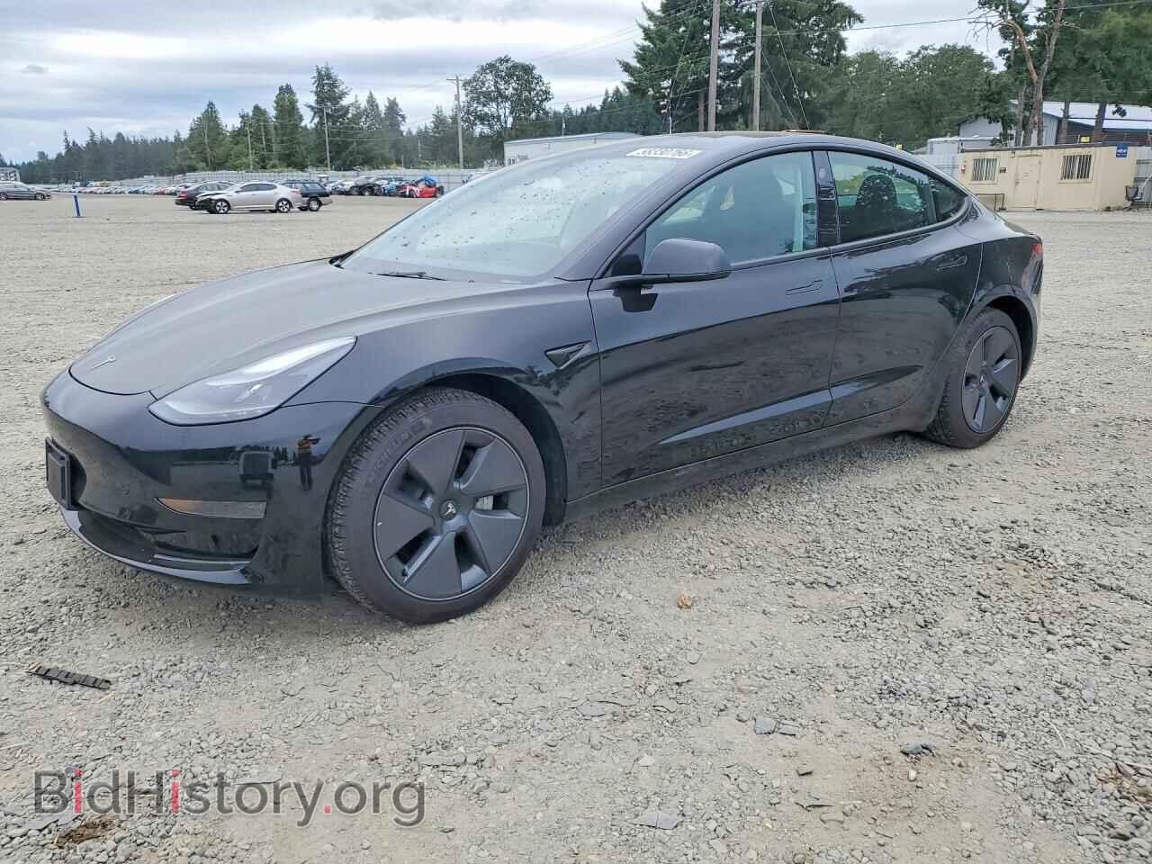 Фотография 5YJ3E1EAXPF646941 - TESLA MODEL 3 2023