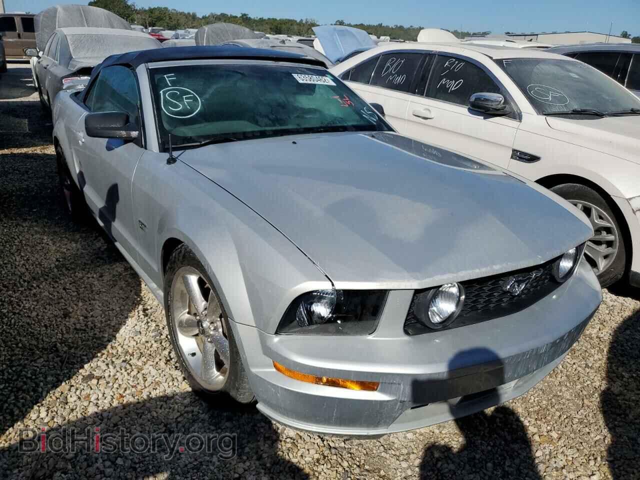 Фотография 1ZVHT85H765213978 - FORD MUSTANG 2006