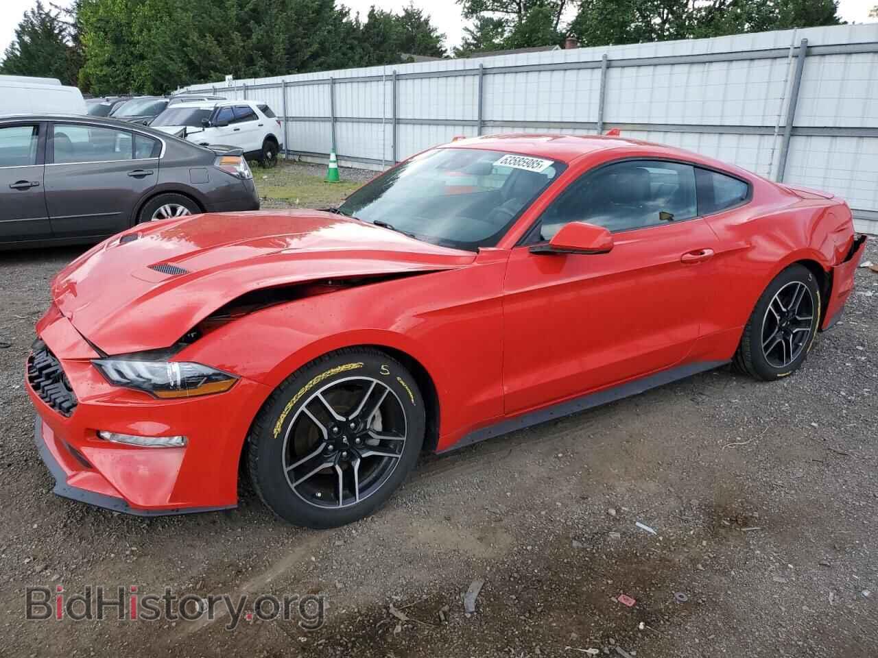 Photo 1FA6P8TH8M5115790 - FORD ALL Models 2021