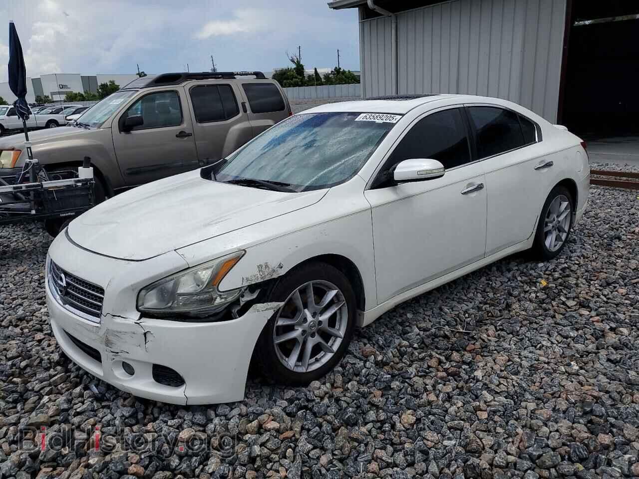 Photo 1N4AA5AP7BC847017 - NISSAN MAXIMA 2011