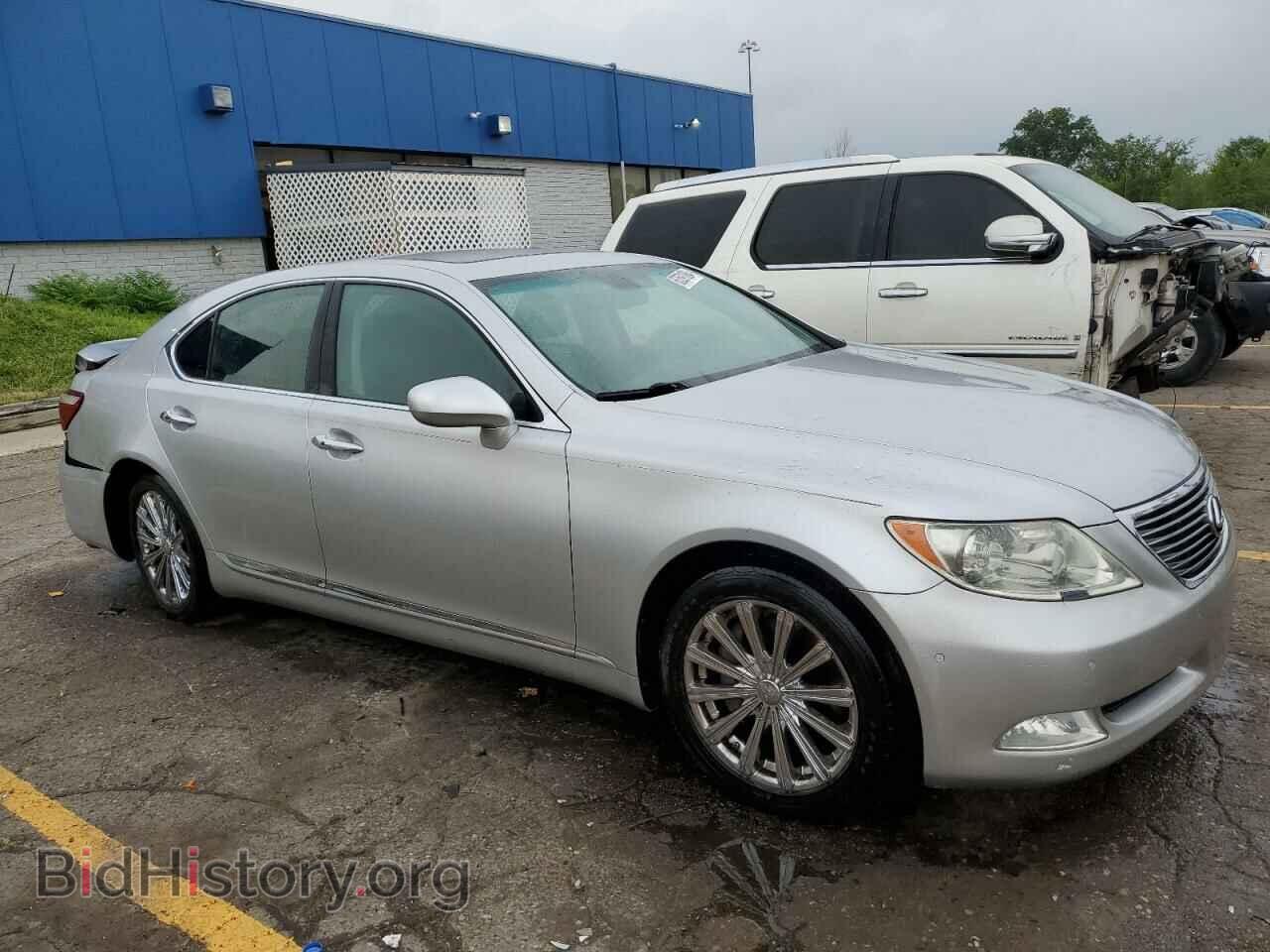 2009 LEXUS LS460 - VIN: JTHBL46F195088557 - Фото 4