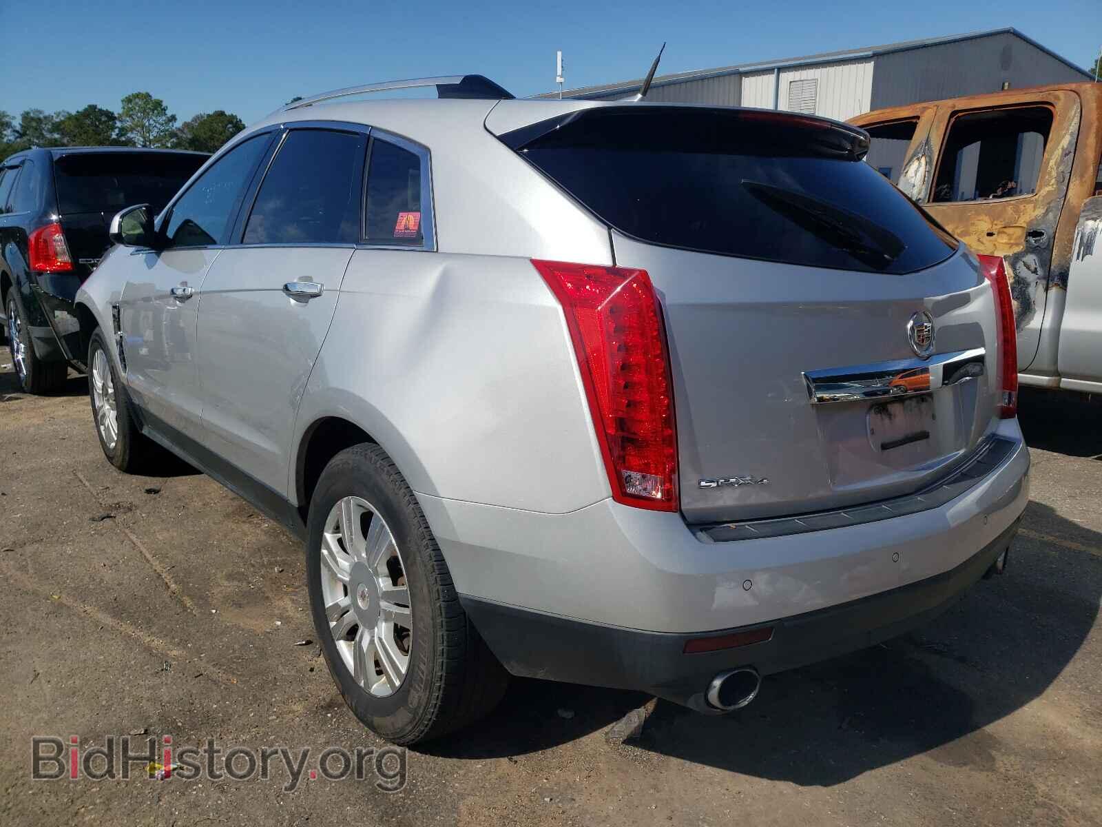 2011 CADILLAC SRX - VIN: 3GYFNDEY5BS509489 - Фото 3