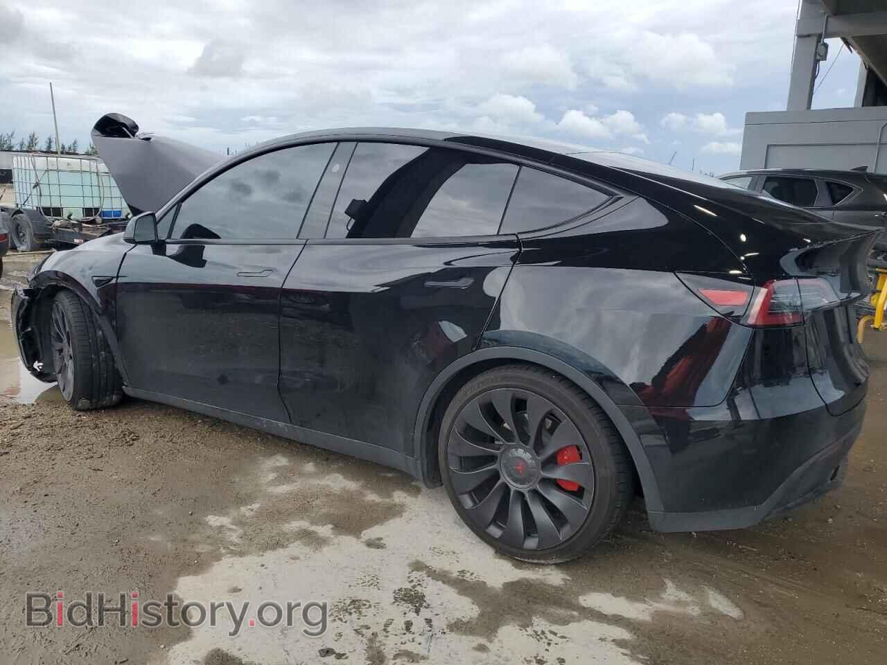 2024 TESLA MODEL Y - VIN: 7SAYGDEF7RF045702 - Фото 2