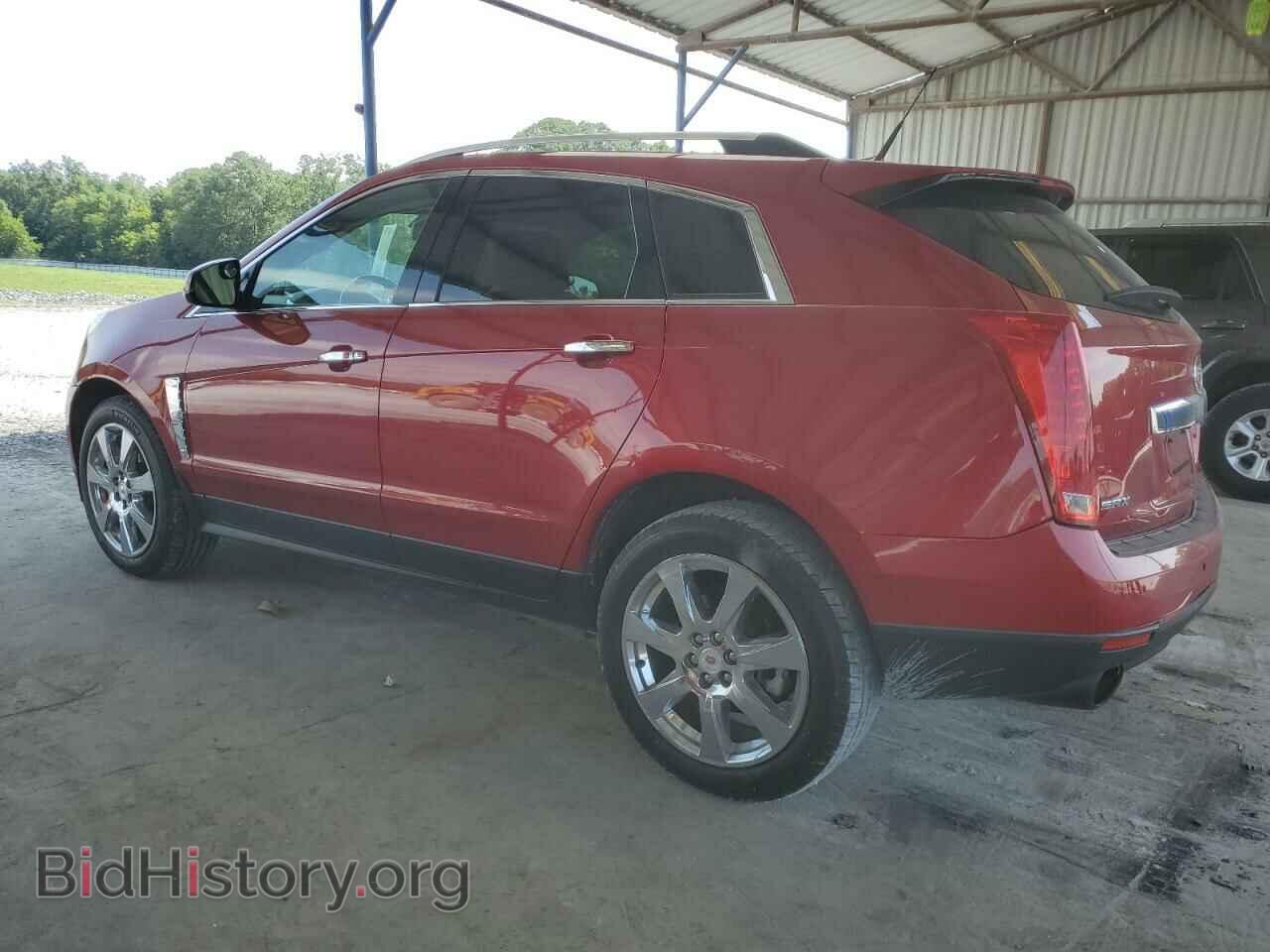 2011 CADILLAC SRX - VIN: 3GYFNAEY1BS517152 - Фото 2