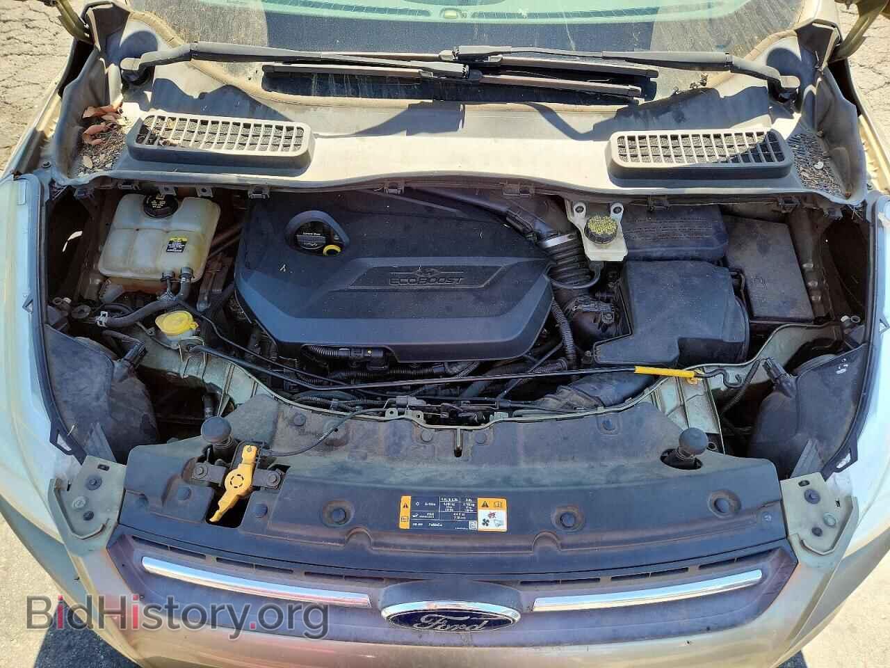 2013 FORD ESCAPE - VIN: 1FMCU0GX4DUA26003 - Photo 12