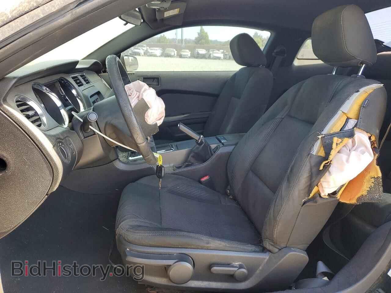 2010 FORD MUSTANG - VIN: 1ZVBP8AN2A5155969 - Фото 7