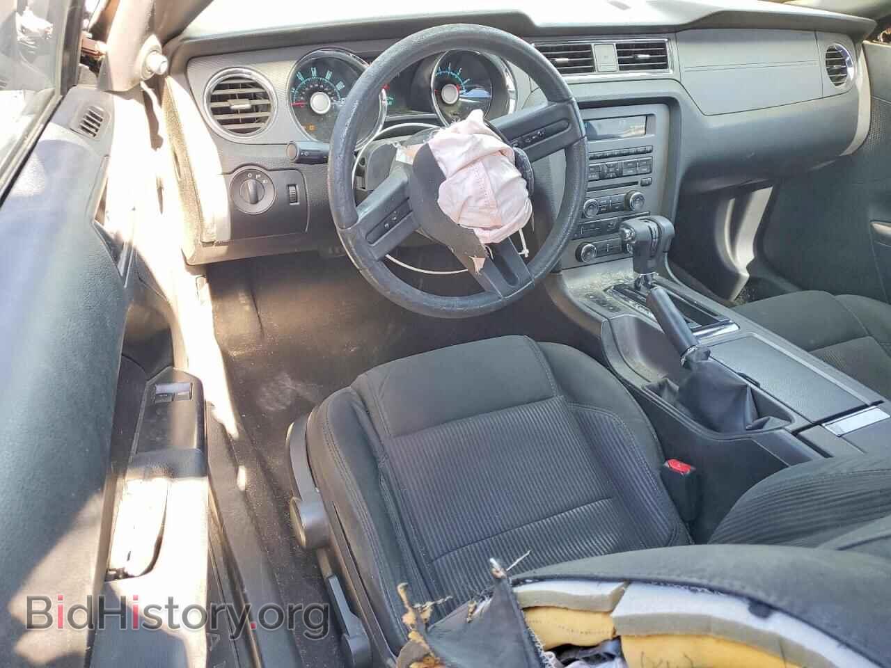 2010 FORD MUSTANG - VIN: 1ZVBP8AN2A5155969 - Фото 8