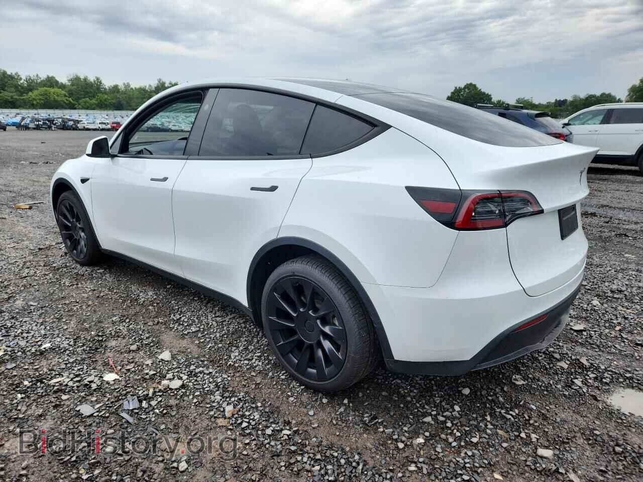 2025 TESLA MODEL Y - VIN: 7SAYGDEE1SA343012 - Фото 2