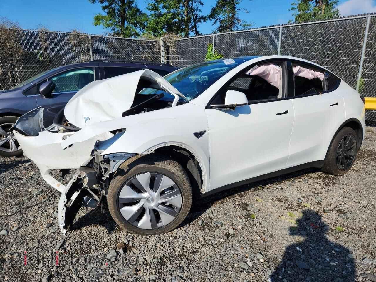 Photo 7SAYGDEE2PA042109 - TESLA MODEL Y 2023