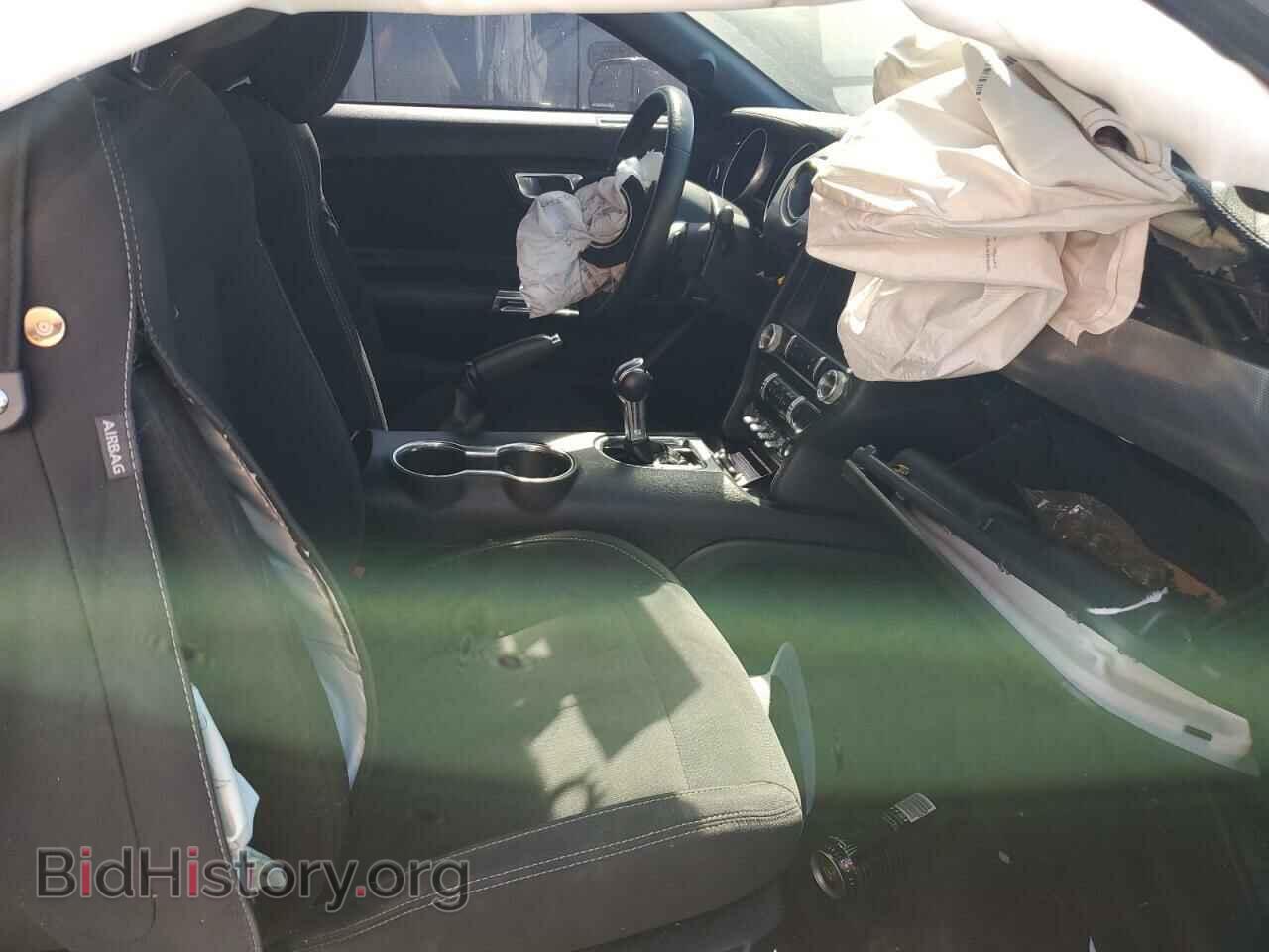 2019 FORD ALL Models - VIN: 1FA6P8TH1K5202492 - Фото 10