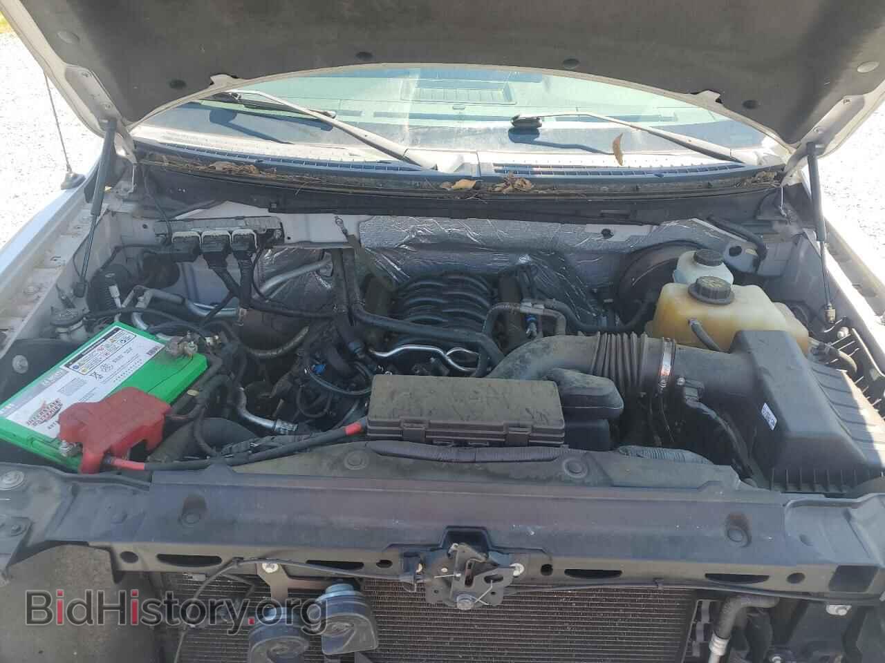 2013 FORD All Models - VIN: 1FTMF1CF1DFD62850 - Photo 11