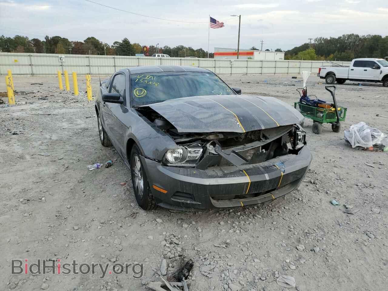 Фотография 1ZVBP8AM5B5153108 - FORD MUSTANG 2011
