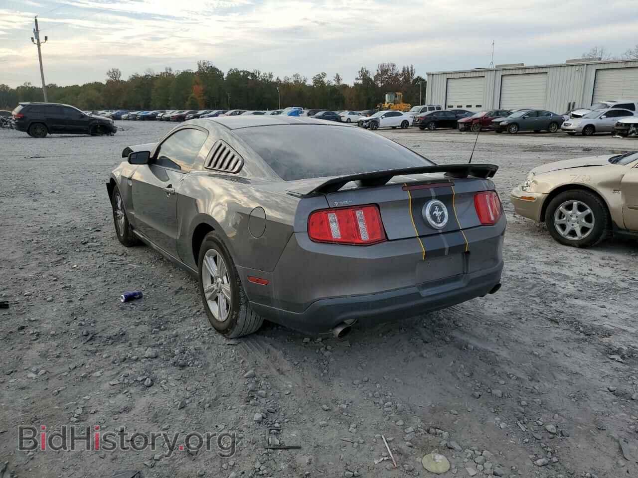 2011 FORD MUSTANG - VIN: 1ZVBP8AM5B5153108 - Фото 3