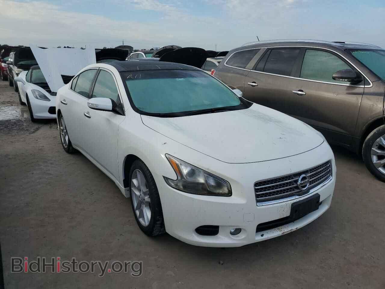Фотография 1N4AA5AP1BC832206 - NISSAN MAXIMA 2011