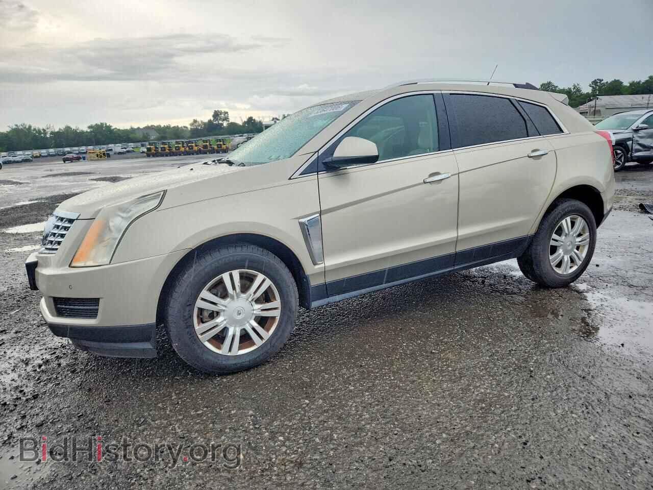 Фотография 3GYFNCE39DS529181 - CADILLAC SRX 2013