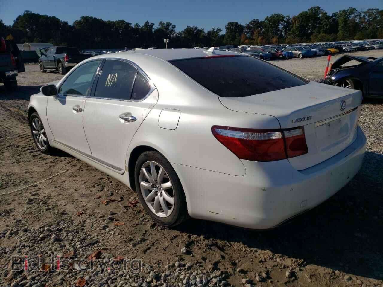 2007 LEXUS LS460 - VIN: JTHBL46FX75005141 - Фото 3