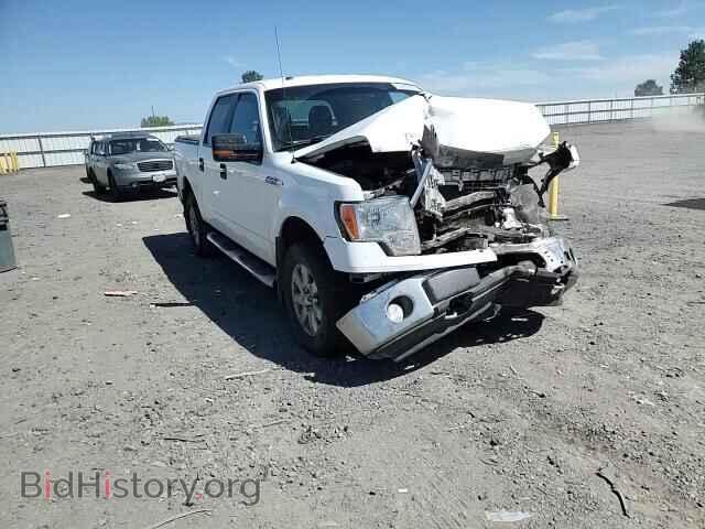 2013 FORD F-150 - VIN: 1FTFW1EF5DFD58984 - Photo 13