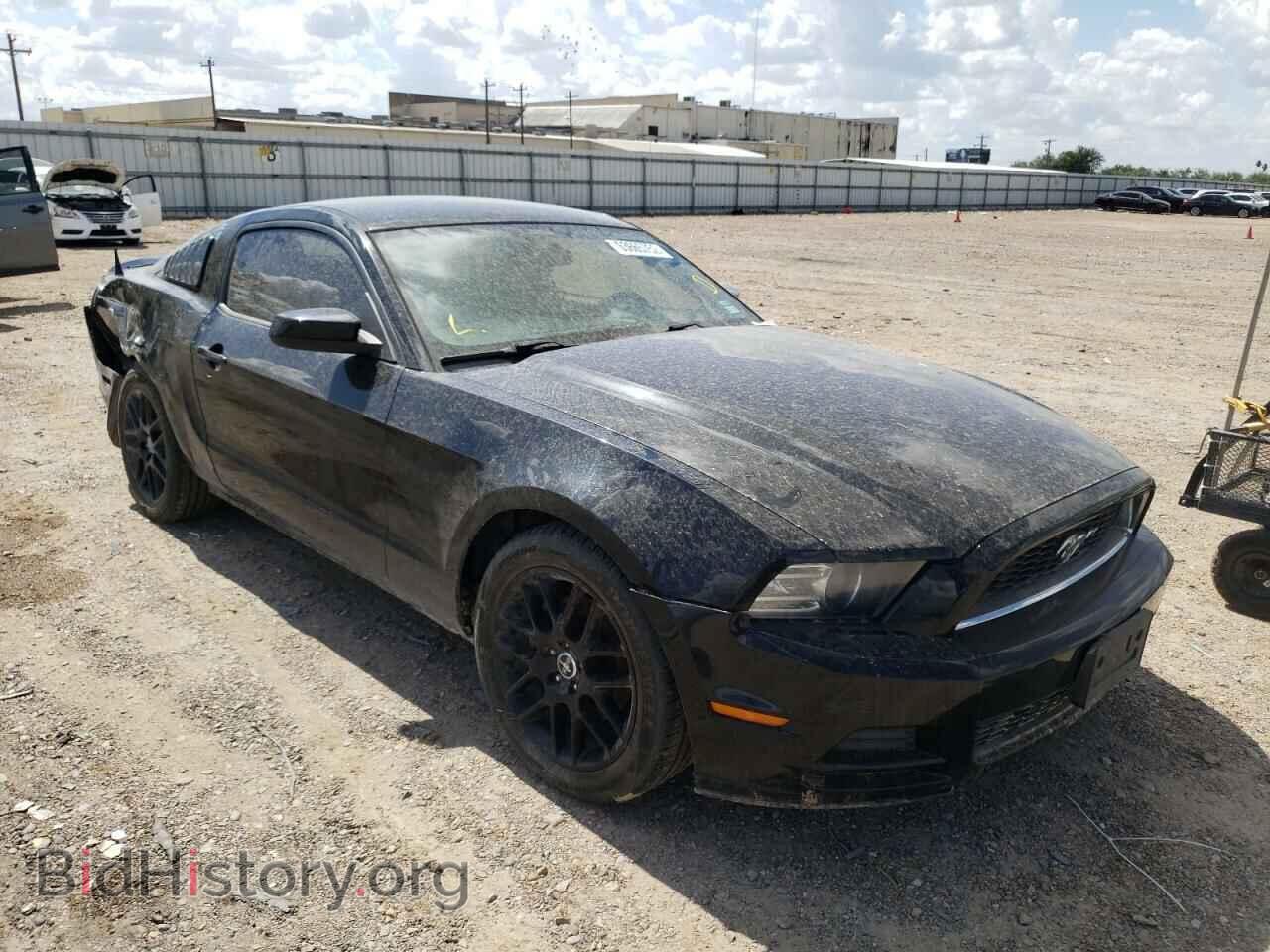Фотография 1ZVBP8AM7E5334604 - FORD MUSTANG 2014