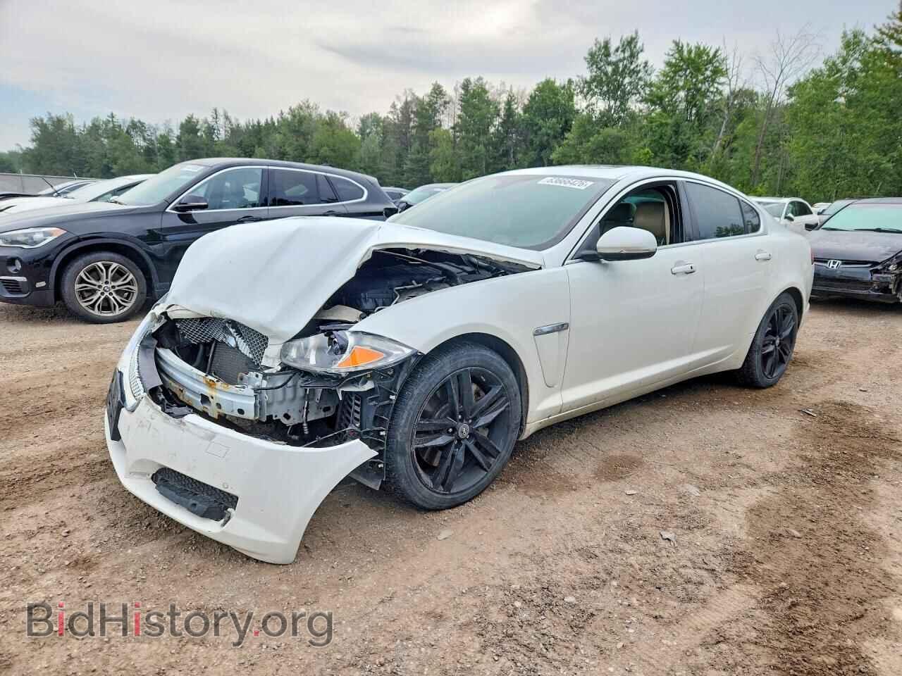 Фотография SAJXJ0EF9D8S79059 - JAGUAR XF 2013
