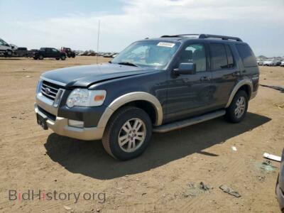 2010 Ford EXPLORER Eddie Bauer, gray — VIN 1FMEU7EE5AUA84376, Copart