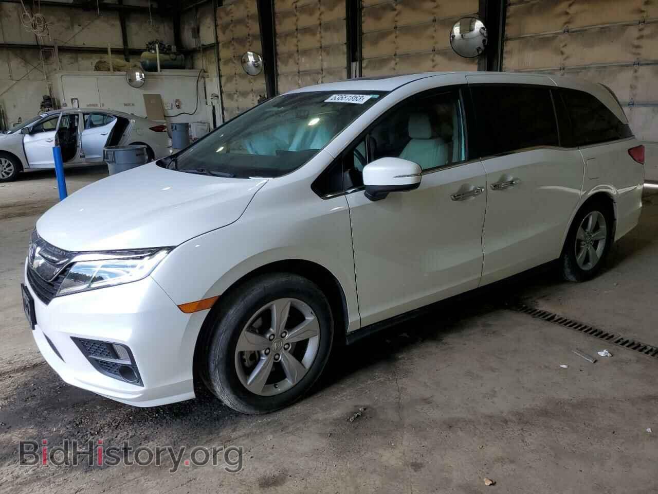 Photo 5FNRL6H74LB010085 - HONDA All Models 2020