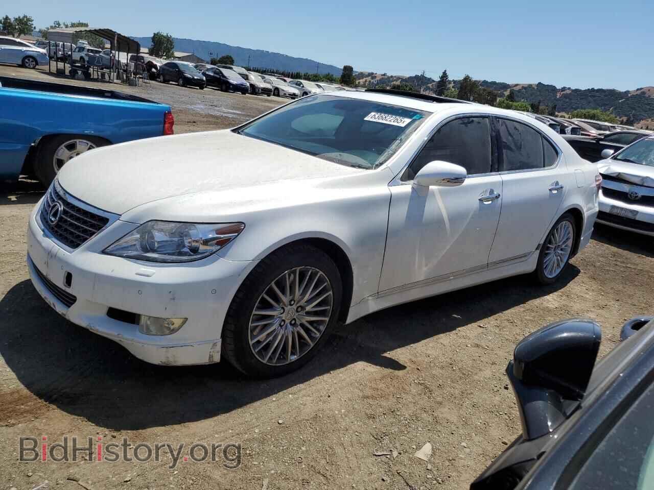 Фотография JTHBL5EF1B5104821 - LEXUS LS460 2011