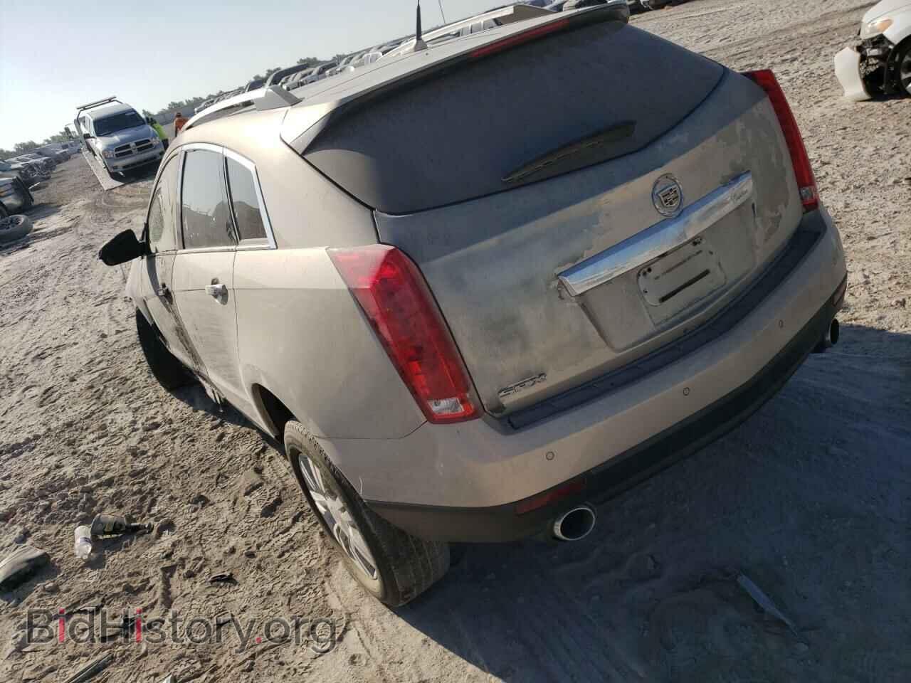 2010 CADILLAC SRX - VIN: 3GYFNAEY8AS519429 - Фото 2