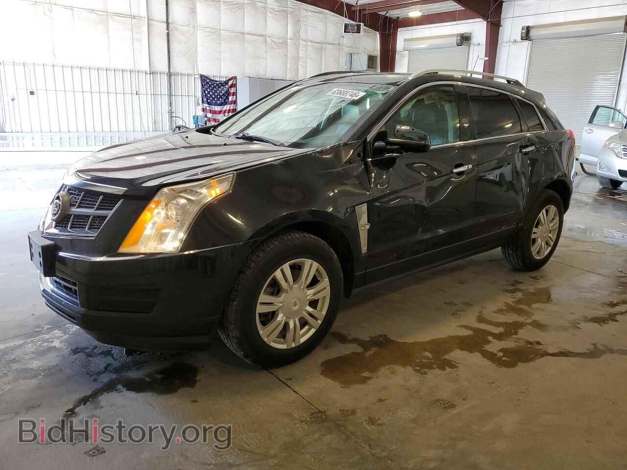 Фотография 3GYFNAEYXBS678972 - CADILLAC SRX 2011