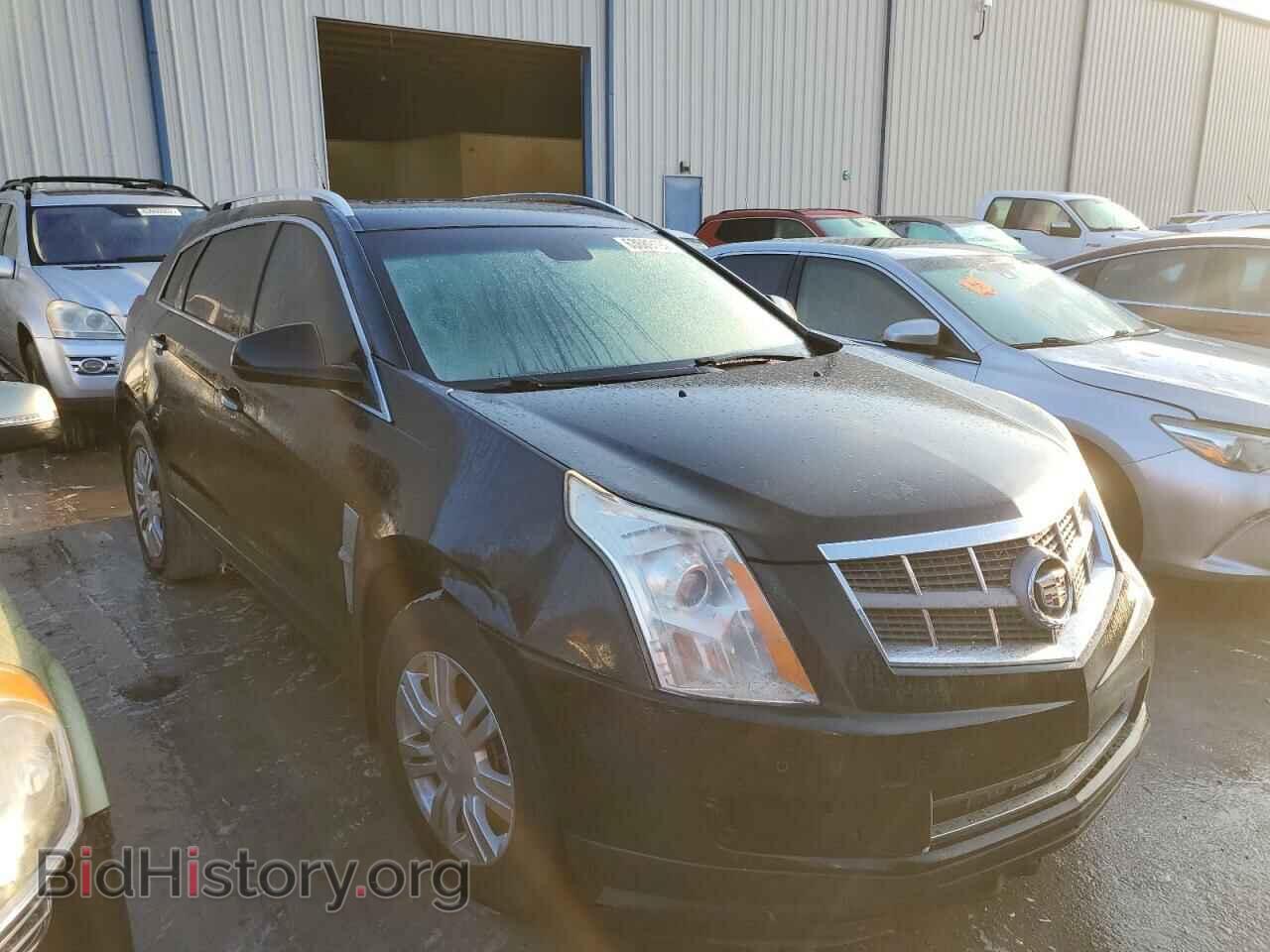 Фотография 3GYFNAE39CS653311 - CADILLAC SRX 2012