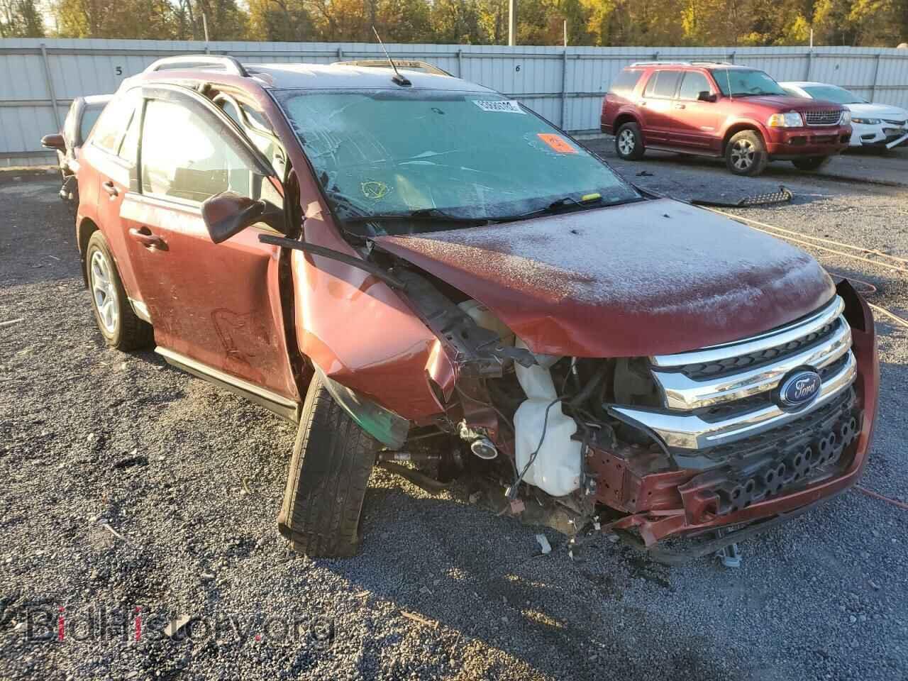 Фотография 2FMDK4JC0EBA79571 - FORD EDGE 2014