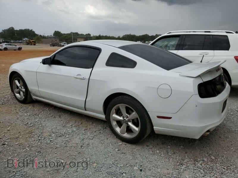 2014 Ford ALL MODELS (VIN 1ZVBP8AM0E5279218) — photo 2 of 12