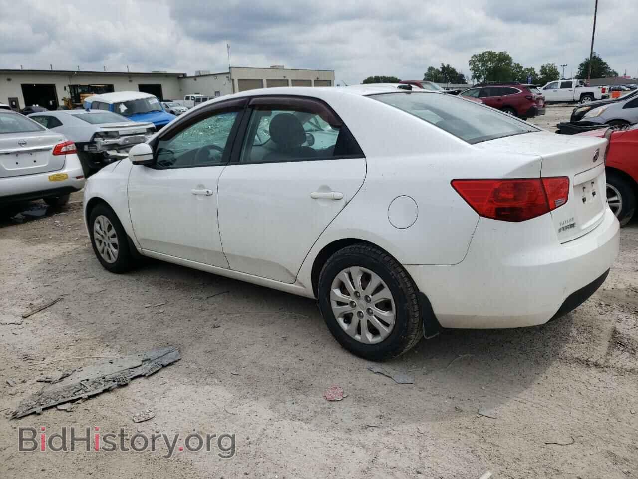 2012 KIA FORTE - VIN: KNAFU4A27C5555876 - Фото 2