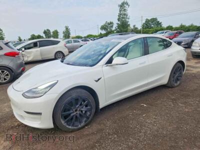 2019 Tesla MODEL 3, white — VIN 5YJ3E1EA5KF420296, Copart