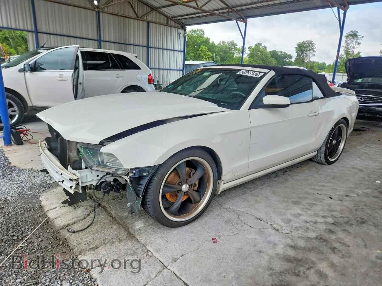 Photo 1ZVBP8EM5D5226071 - FORD MUSTANG 2013