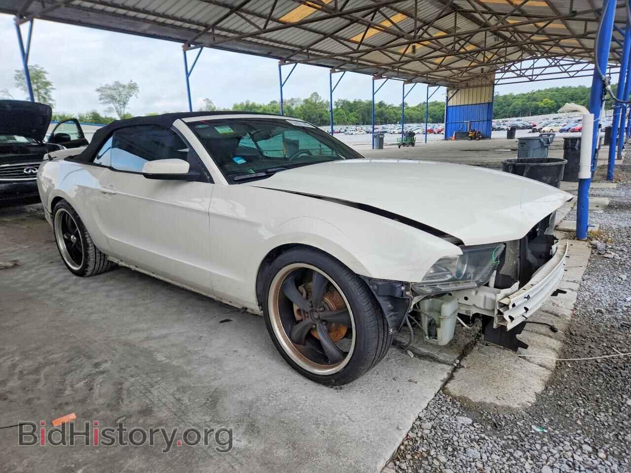 2013 FORD MUSTANG - VIN: 1ZVBP8EM5D5226071 - Фото 4
