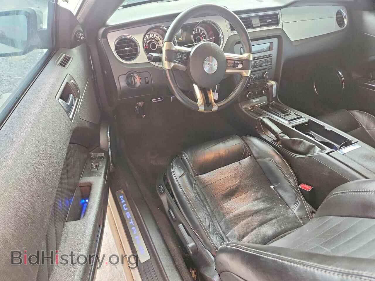 2013 FORD MUSTANG - VIN: 1ZVBP8EM5D5226071 - Фото 8