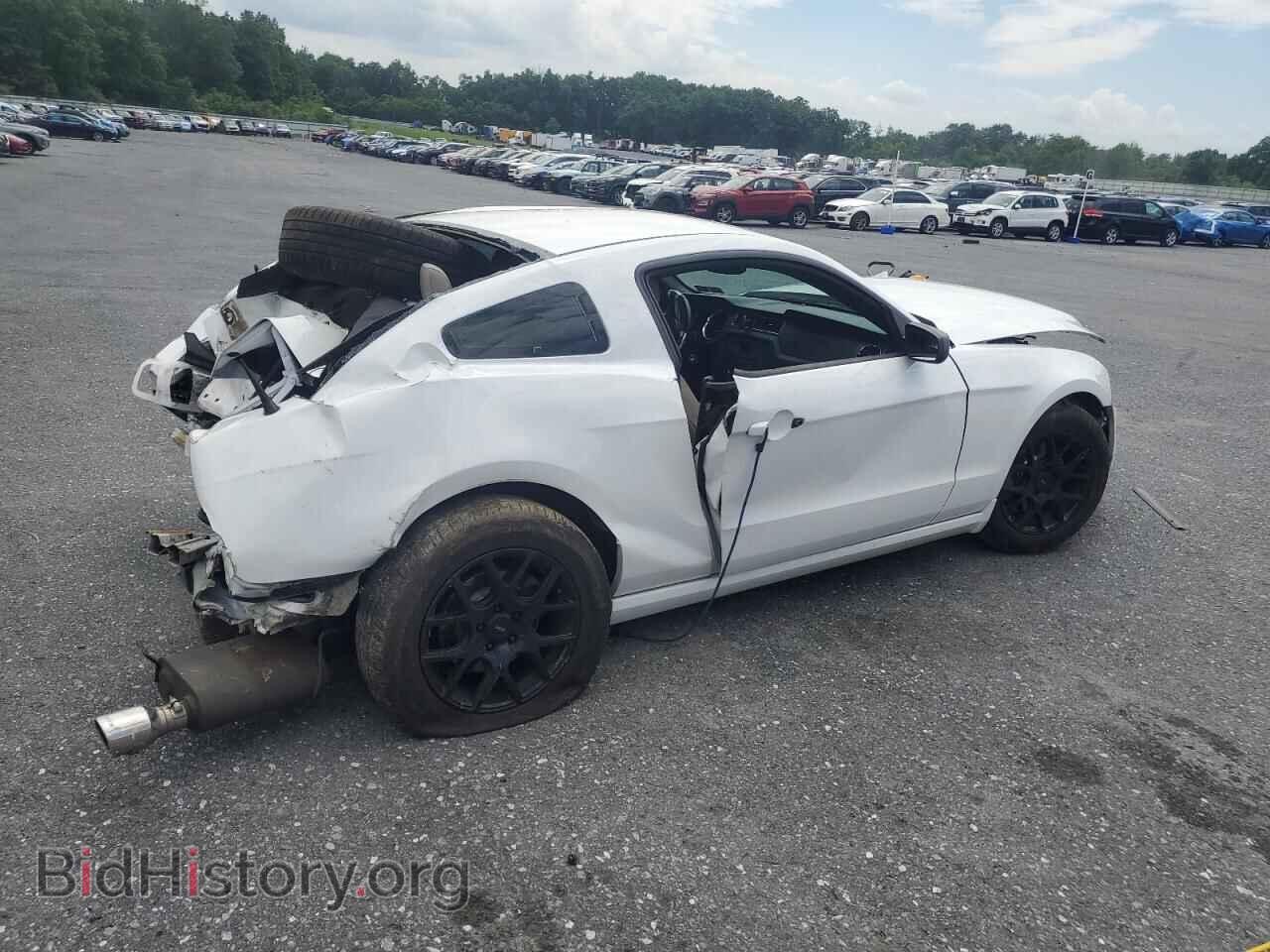 2014 FORD ALL Models - VIN: 1ZVBP8AM1E5314557 - Фото 4