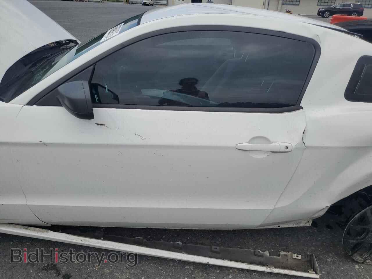 2014 FORD ALL Models - VIN: 1ZVBP8AM1E5314557 - Фото 8