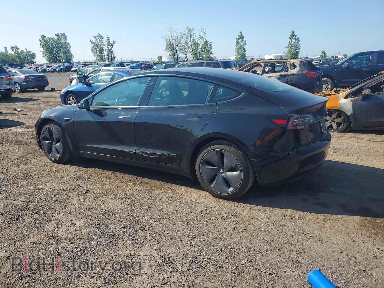 2019 TESLA MODEL 3 - VIN: 5YJ3E1EA0KF321336 - Photo 2