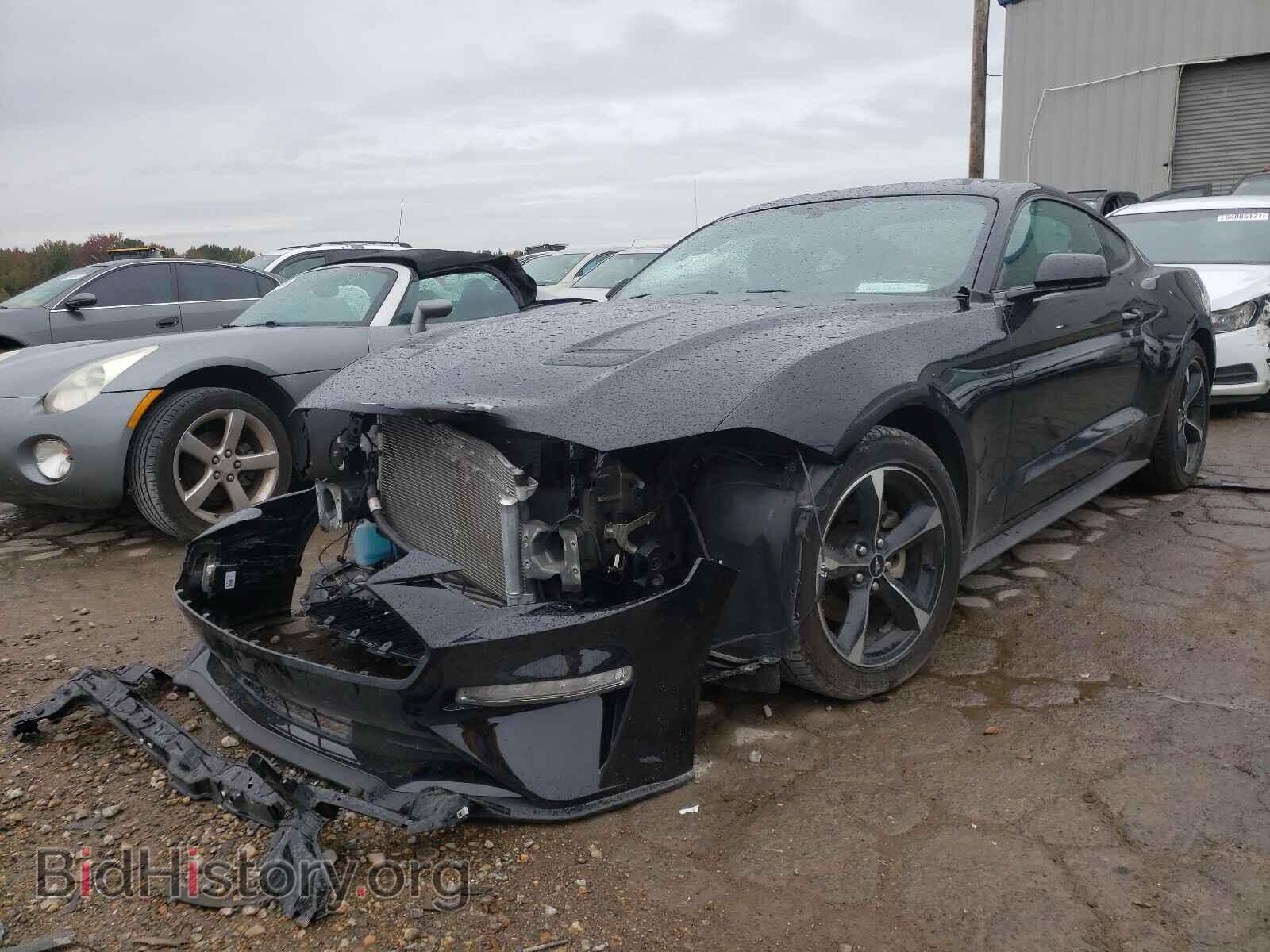 2019 FORD MUSTANG - VIN: 1FA6P8TH0K5200149 - Фото 2