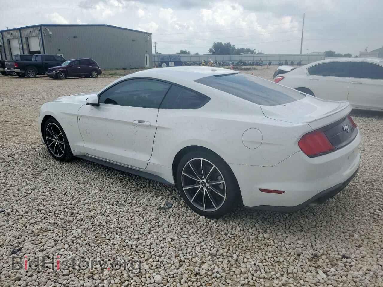 2019 FORD ALL Models - VIN: 1FA6P8TH2K5181538 - Фото 2