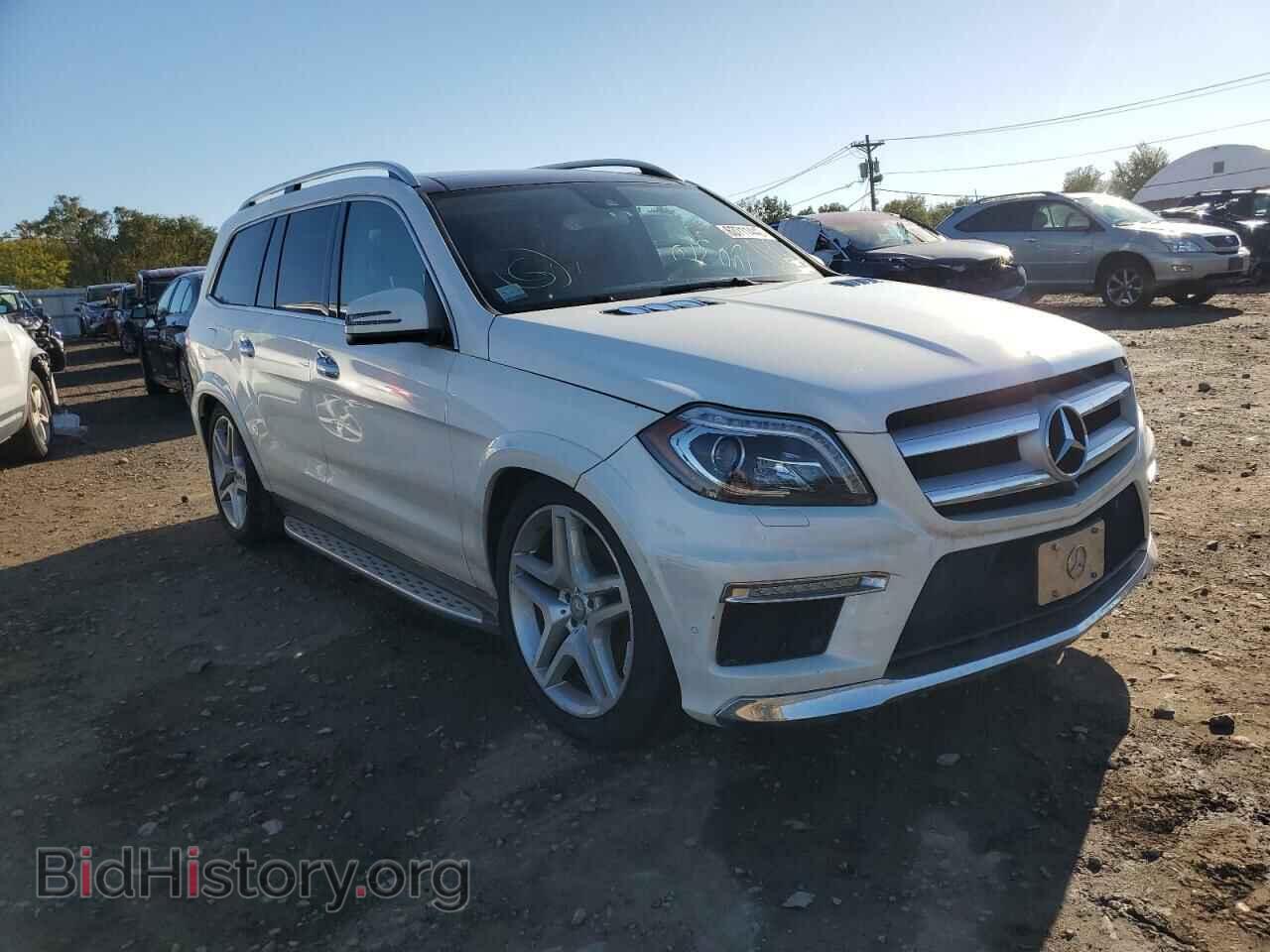 Photo 4JGDF7DE9EA334409 - MERCEDES-BENZ GL-CLASS 2014