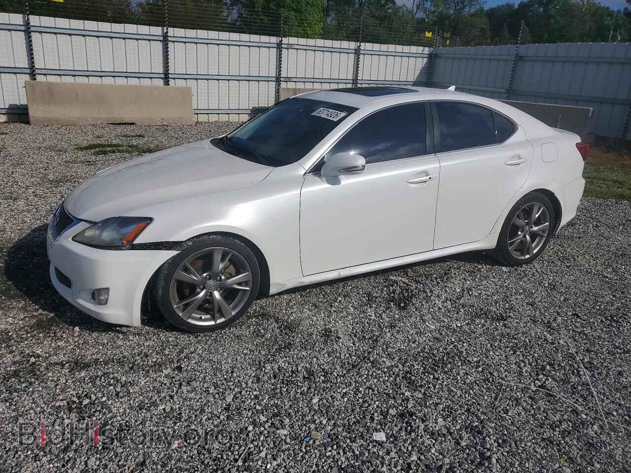 Фотография JTHBK262195091253 - LEXUS IS 2009