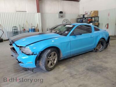 2013 Ford ALL MODELS, blue — VIN 1ZVBP8AM1D5209144, Copart